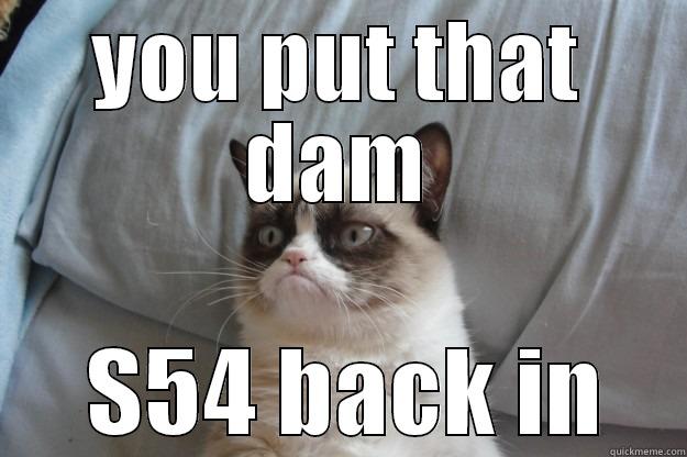 YOU PUT THAT DAM  S54 BACK IN Grumpy Cat