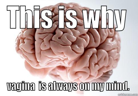 THIS IS WHY VAGINA  IS ALWAYS ON MY MIND. Scumbag Brain