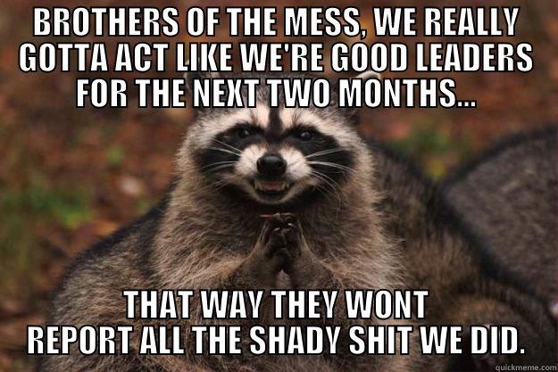 BROTHERS OF THE MESS, WE REALLY GOTTA ACT LIKE WE'RE GOOD LEADERS FOR THE NEXT TWO MONTHS... THAT WAY THEY WONT REPORT ALL THE SHADY SHIT WE DID. Evil Plotting Raccoon