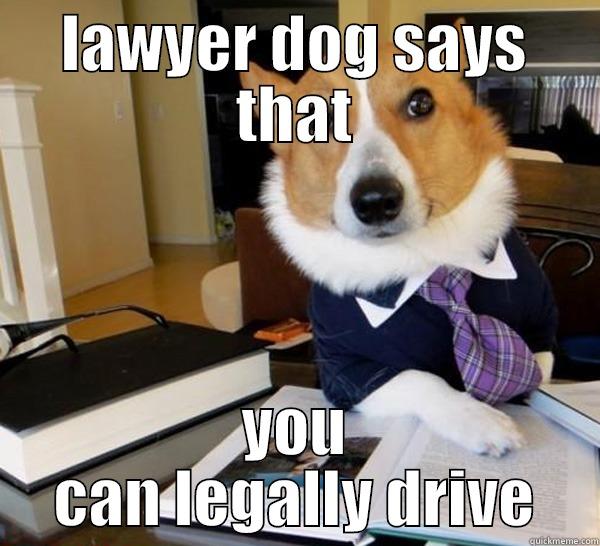 LAWYER DOG SAYS THAT YOU CAN LEGALLY DRIVE Lawyer Dog