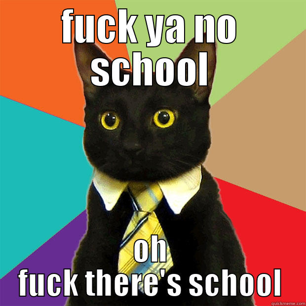 FUCK YA NO SCHOOL OH FUCK THERE'S SCHOOL Business Cat