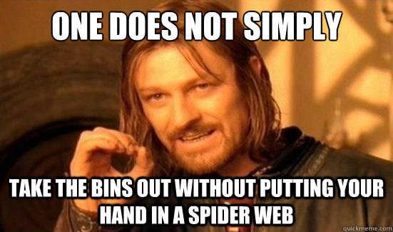 One Does Not Simply TAKE THE BINS OUT WITHOUT PUTTING YOUR HAND IN A SPIDER WEB - One Does Not Simply TAKE THE BINS OUT WITHOUT PUTTING YOUR HAND IN A SPIDER WEB  Boromir