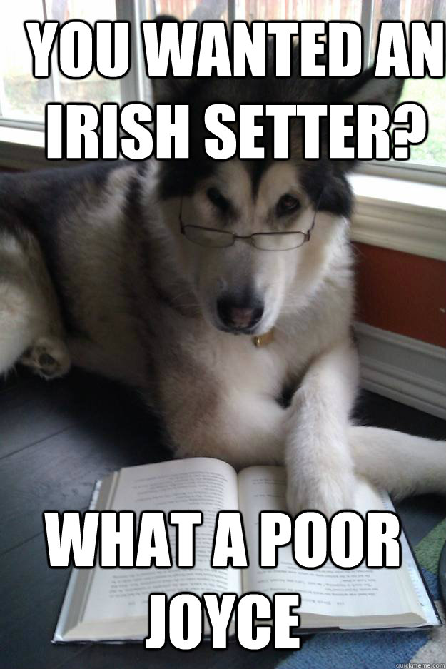 You wanted an Irish Setter? What a poor Joyce  Condescending Literary Pun Dog