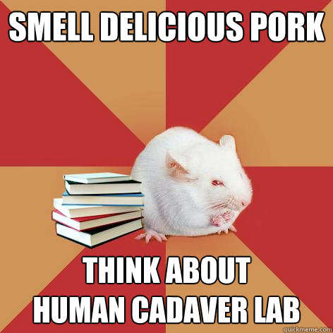 smell delicious pork think about 
human cadaver lab - smell delicious pork think about 
human cadaver lab  Science Major Mouse