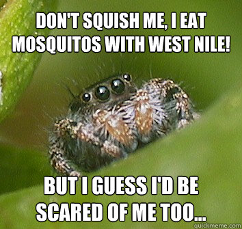 Don't squish me, I eat mosquitos with West Nile! But I guess I'd be scared of me too...  Misunderstood Spider