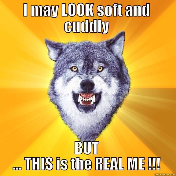 I MAY LOOK SOFT AND CUDDLY BUT ... THIS IS THE REAL ME !!! Courage Wolf