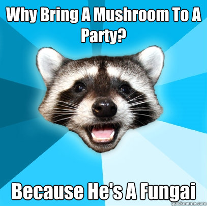 Why Bring A Mushroom To A Party? Because He's A Fungai   Lame Pun Coon