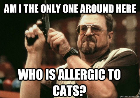 Am I the only one around here who is allergic to cats? - Am I the only one around here who is allergic to cats?  Am I the only one