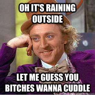 oh it's raining outside let me guess you bitches wanna cuddle  Condescending Wonka