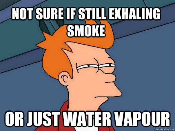 Not sure if still exhaling smoke or just water vapour - Not sure if still exhaling smoke or just water vapour  Futurama Fry