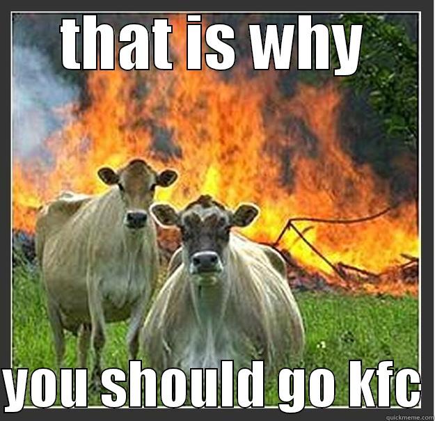 THAT IS WHY  YOU SHOULD GO KFC Evil cows