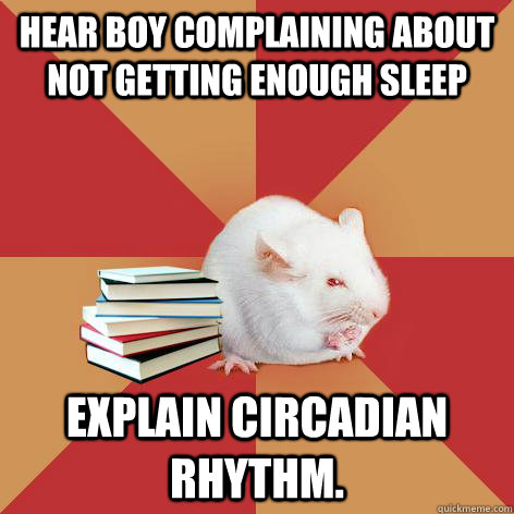 Hear boy complaining about not getting enough sleep Explain circadian rhythm.   Science Major Mouse