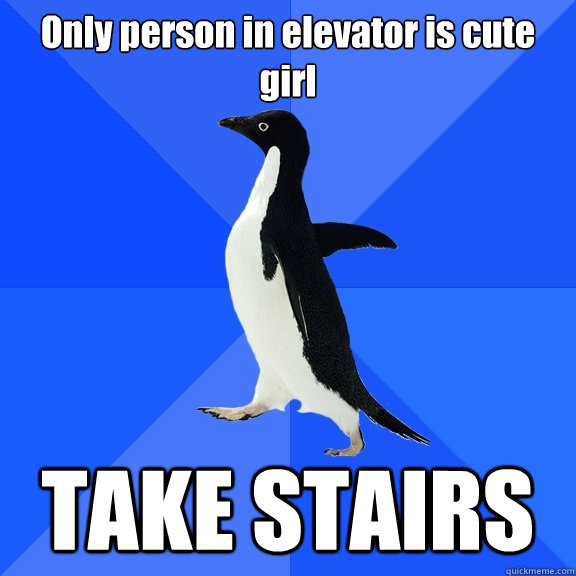 Only person in elevator is cute girl TAKE STAIRS  Socially Awkward Penguin