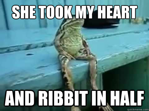 She took my heart  and ribbit in half  SITTING FROG