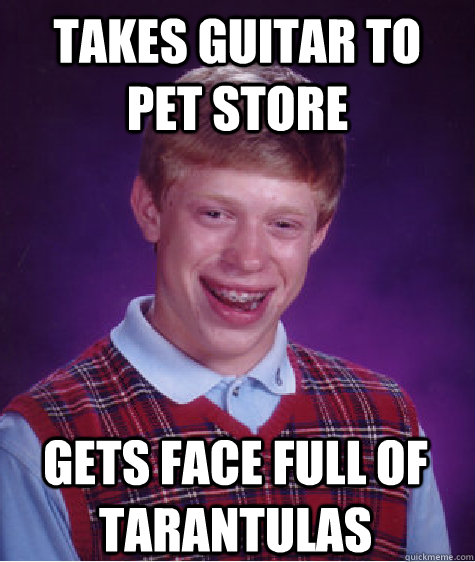 takes guitar to pet store gets face full of tarantulas  Bad Luck Brian