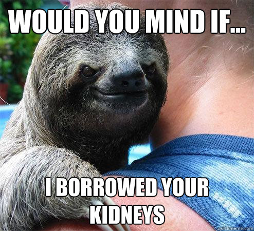 Would you mind if... I borrowed your kidneys  Suspiciously Evil Sloth