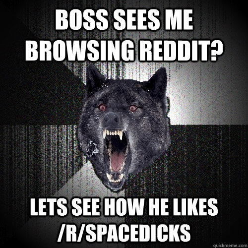 boss sees me browsing reddit? lets see how he likes /r/spacedicks  Insanity Wolf