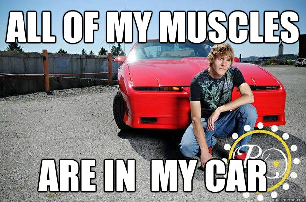 ALL OF MY MUSCLES ARE IN  MY CAR  