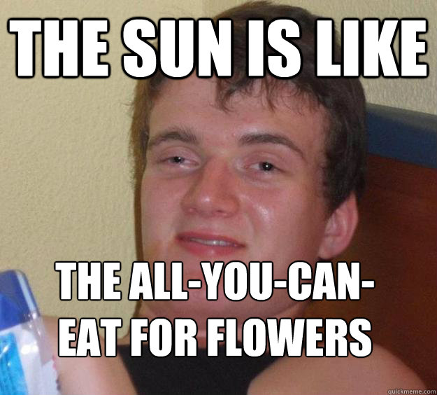 The Sun is like The all-you-can-eat for flowers
  10 Guy