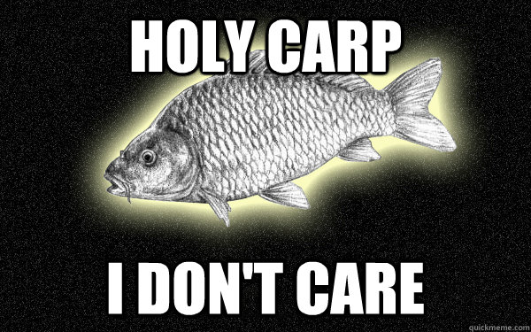 Holy carp I don't care - Holy carp I don't care  Holy Carp