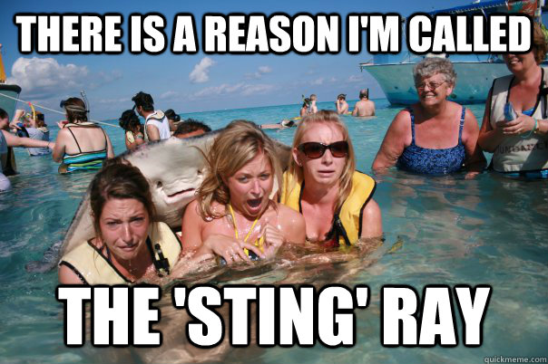 There is a reason i'm called  the 'sting' ray  Pervert Stingray