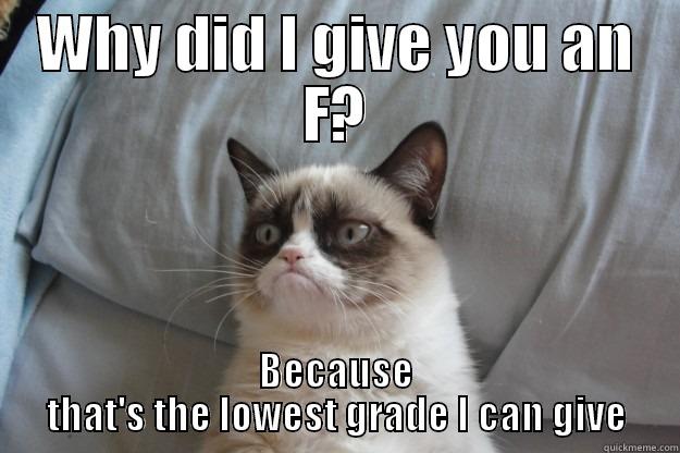 WHY DID I GIVE YOU AN F? BECAUSE THAT'S THE LOWEST GRADE I CAN GIVE Grumpy Cat