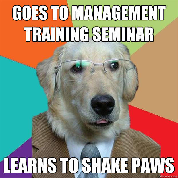goes to management training seminar learns to shake paws  Business Dog