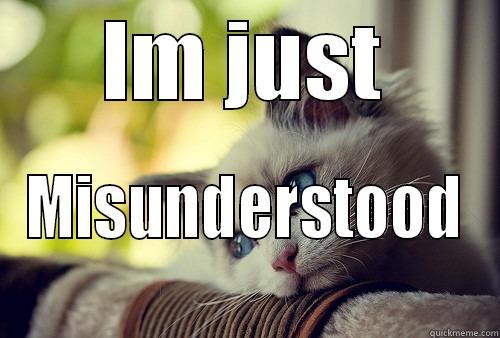 im just misunderstood - IM JUST MISUNDERSTOOD First World Problems Cat