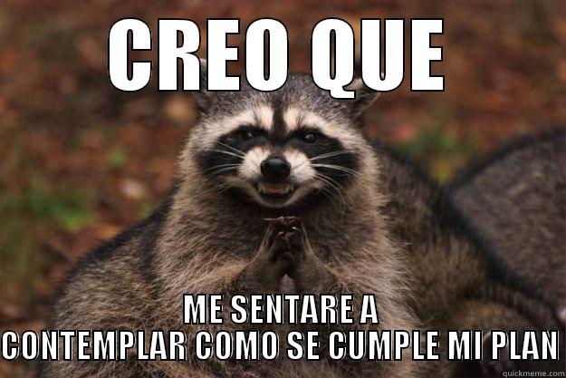 CREO QUE ME SENTARE A CONTEMPLAR COMO SE CUMPLE MI PLAN Evil Plotting Raccoon