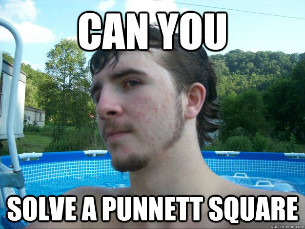 Can you solve a punnett square - Can you solve a punnett square  Greg Duty 1