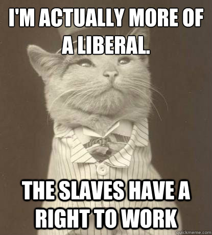 I'm actually more of a liberal.  The slaves have a right to work   Aristocat