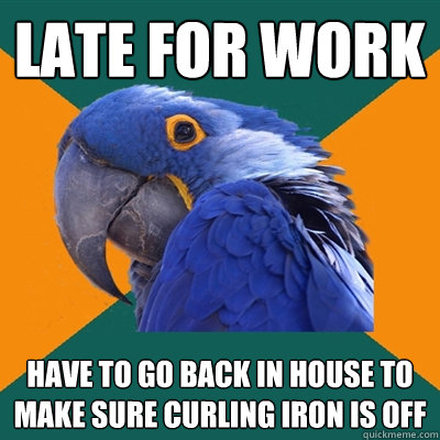 Late for work have to go back in house to make sure curling iron is off - Late for work have to go back in house to make sure curling iron is off  Paranoid Parrot