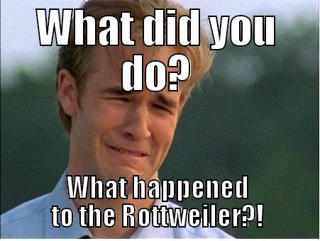 WHAT DID YOU DO? WHAT HAPPENED TO THE ROTTWEILER?! 1990s Problems