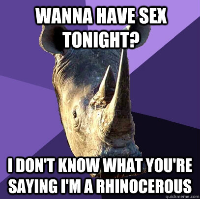 wanna have sex tonight? i don't know what you're saying i'm a rhinocerous  Sexually Oblivious Rhino