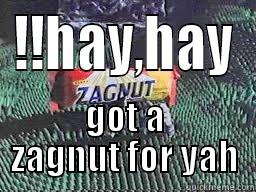 !!HAY,HAY GOT A ZAGNUT FOR YAH Misc