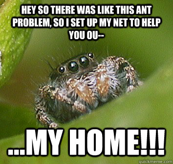 Hey so there was like this ant problem, so i set up my net to help you ou-- ...my home!!! - Hey so there was like this ant problem, so i set up my net to help you ou-- ...my home!!!  Misunderstood Spider