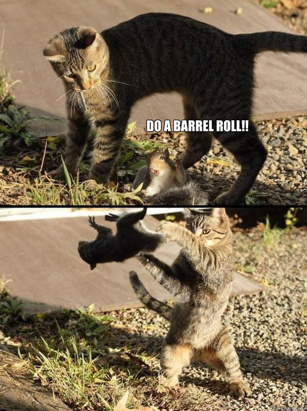 


DO A BARREL ROLL!!  Annoying Squirrel