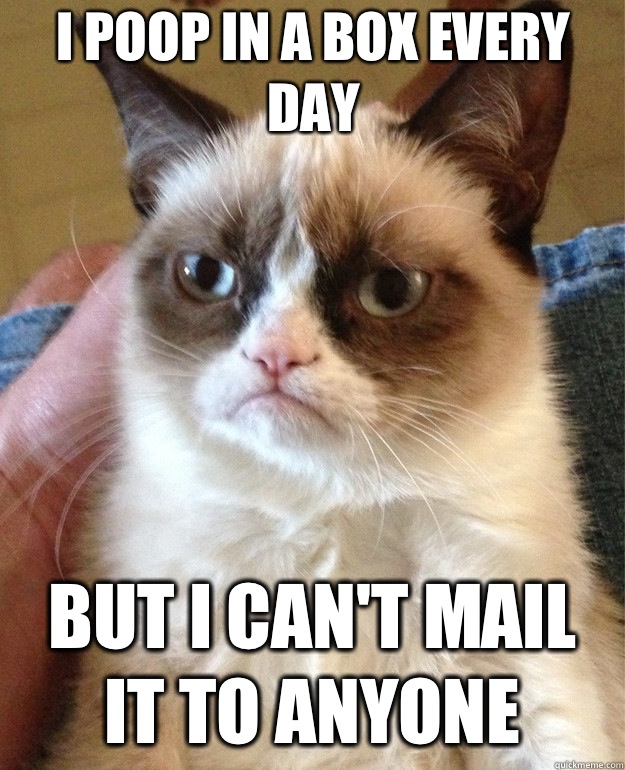 I poop in a box every day But I can't mail it to anyone  Grumpy Cat