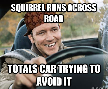 Squirrel Runs Across Road Totals Car Trying to Avoid It - Squirrel Runs Across Road Totals Car Trying to Avoid It  SCUMBAG DRIVER