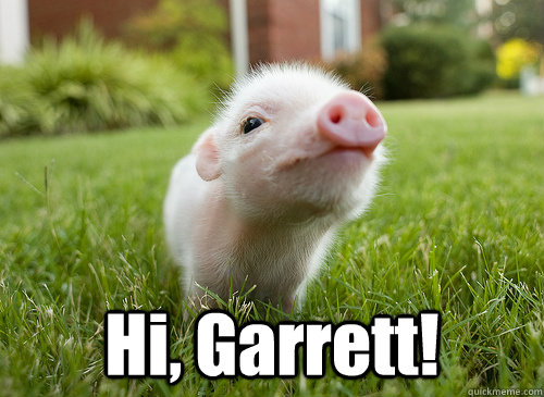  Hi, Garrett!  baby pig