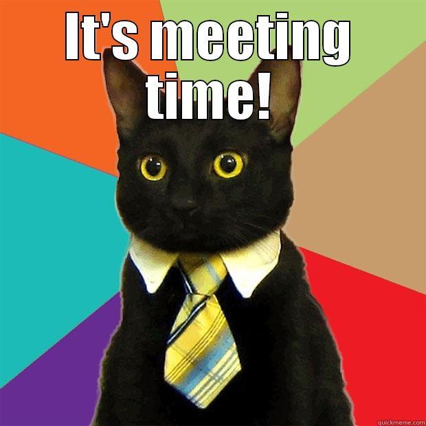 Meeting time - IT'S MEETING TIME!  Business Cat