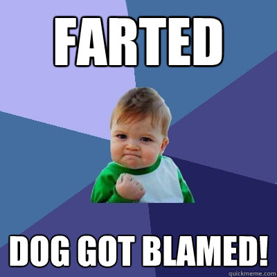 Farted Dog got blamed!  Success Kid