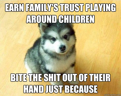 Earn family's trust playing around children bite the shit out of their hand just because  Baby Courage Wolf