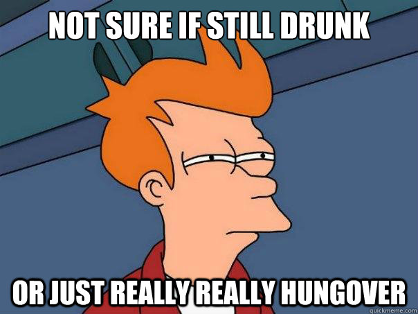 Not sure if still drunk Or just really really hungover  Futurama Fry