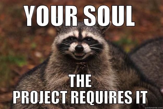 YOUR SOUL THE PROJECT REQUIRES IT Evil Plotting Raccoon