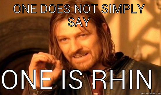 ONE DOES NOT SIMPLY SAY ONE IS THIN Boromir