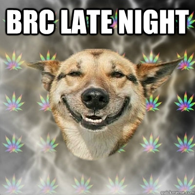 BRC late night    Stoner Dog