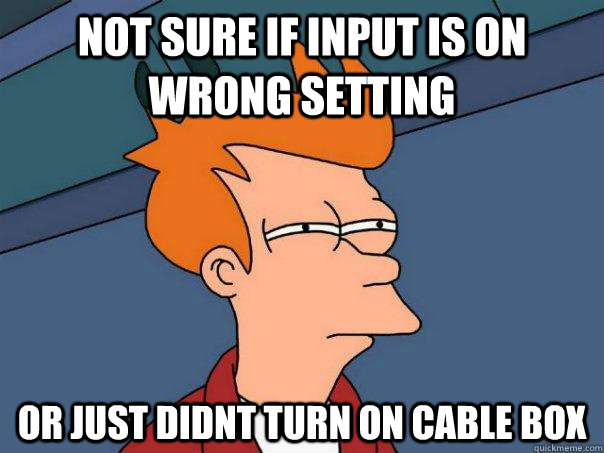 Not sure if input is on wrong setting or just didnt turn on cable box - Not sure if input is on wrong setting or just didnt turn on cable box  Futurama Fry