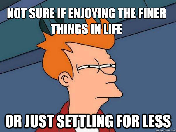 Not sure if enjoying the finer things in life Or just settling for less - Not sure if enjoying the finer things in life Or just settling for less  Futurama Fry