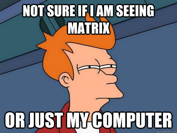 not sure if i am seeing matrix  or just my computer  Futurama Fry